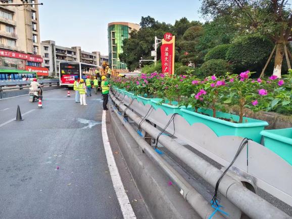 花映兩橋·綠滿酒城—興綠園林公司實施沱江一橋、連心橋景觀升級工程   